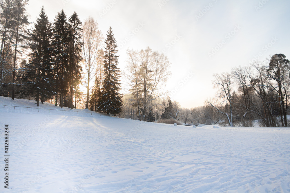 Evening in the winter park. Pavlovsk, the vicinity of St. Petersburg. Russia Evening in the winter park. Pavlovsk, the vicinity of St. Petersburg. Russia