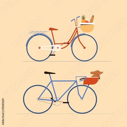 Two bicycles for woman with low frame and front basket with grocery food and man with high and basket with a cute dog. Flat style vector illustration.