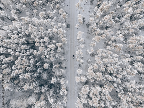 Winter forest with frosty trees, aerial view.