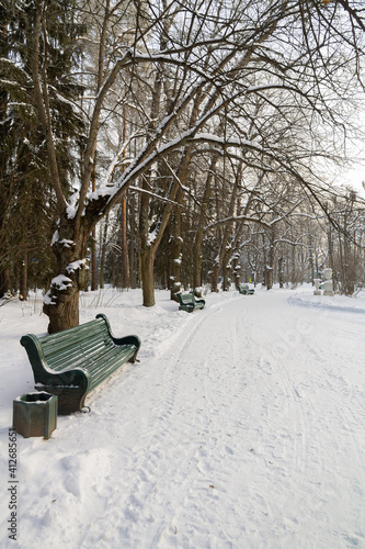 Evening in the winter park. Pavlovsk, the vicinity of St. Petersburg. Russia
