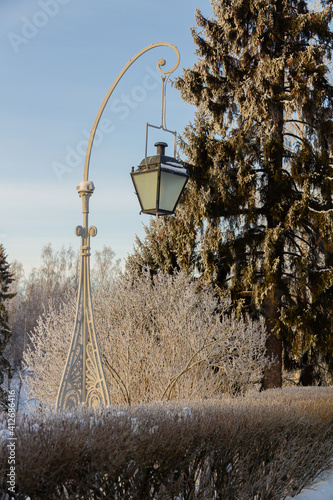 Evening in the winter park. Pavlovsk, the vicinity of St. Petersburg. Russia
