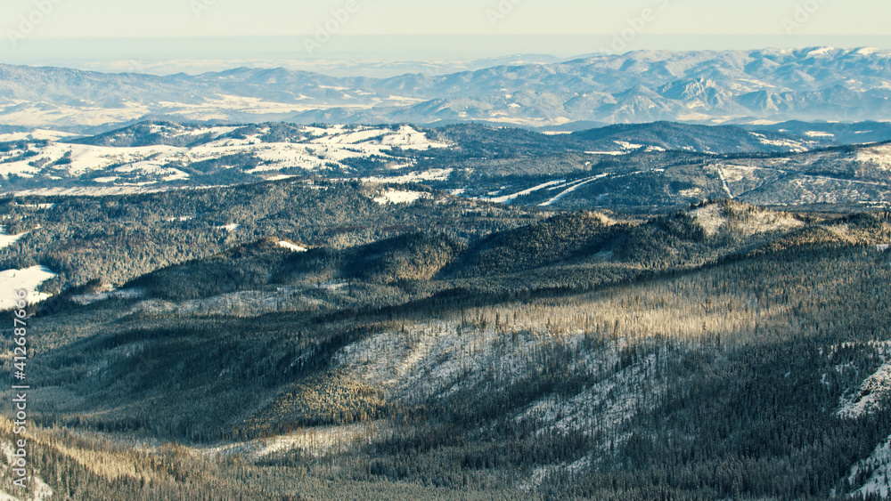 Fototapeta premium Beautiful winter scenery of mountain with pine forest covered in snow. Panning shot. High quality photo