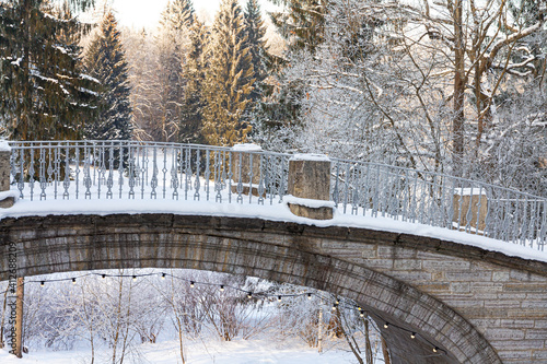 Evening in the winter park. Pavlovsk, the vicinity of St. Petersburg. Russia