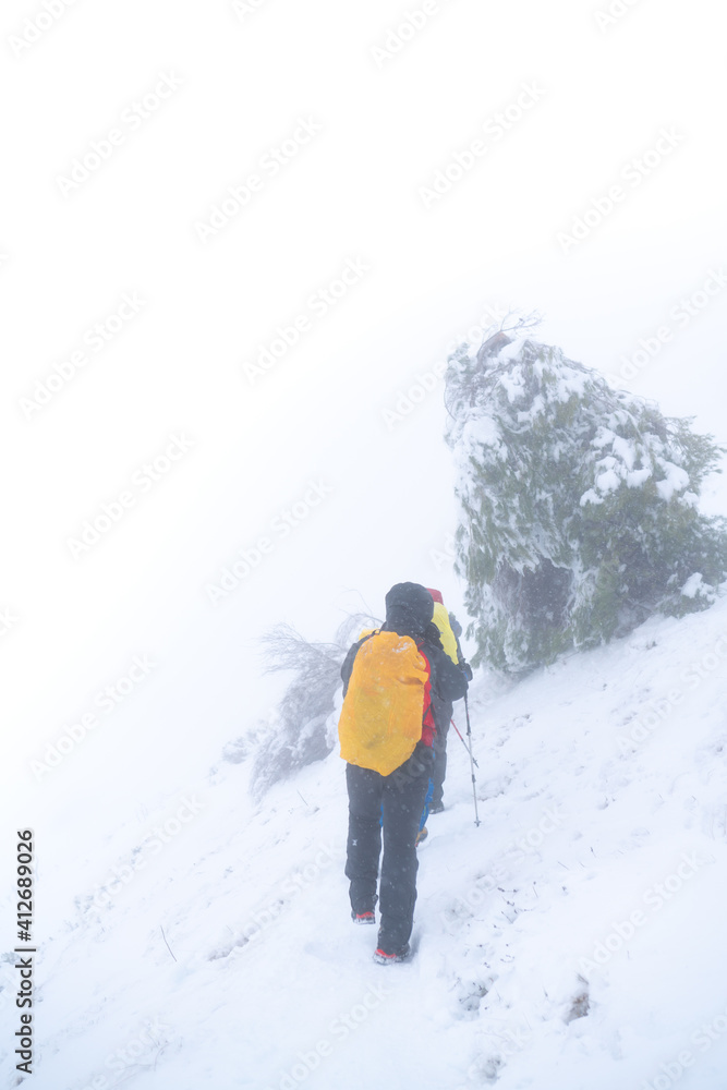 VERTICAL IMAGE OF A GROUP OF PEOPLE HIKING IN EXTREME CONDITIONS. ALPINISTS TREKKING IN HARSH WINTER CONDITIONS. COLD AND BAD WEATHER CONCEPT.
