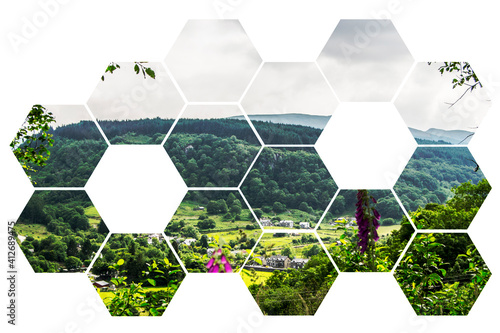 Digital Illustration Landscape Background