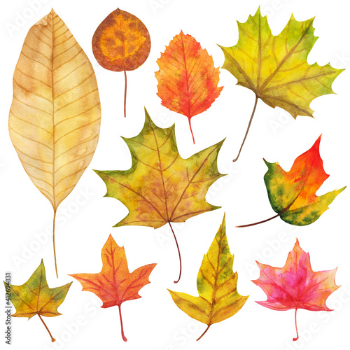 Autumn leaves painted by watercolor