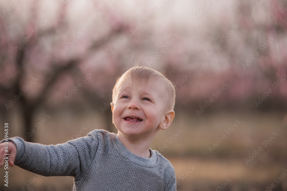 Close-up portrait of a little blond boy in a gray sweater on a blurred pink background. Holds in his hands, throws the ground. Plays in blooming peach flowers out of town on a ranch. Copy space Close-up portrait of a little blond boy in a gray sweater on a blurred pink background. Holds in his hands, throws the ground. Plays in blooming peach flowers out of town on a ranch. Copy space