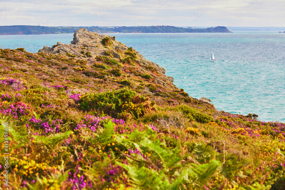 Scenic view of heather meadows on Cape d'Erquy, one of the most popular tourist destinations in Brittany, France