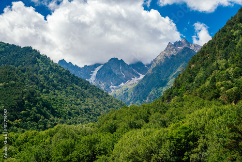 landscape in summer