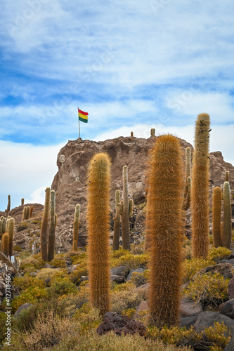 Desierto en Bolivia photo