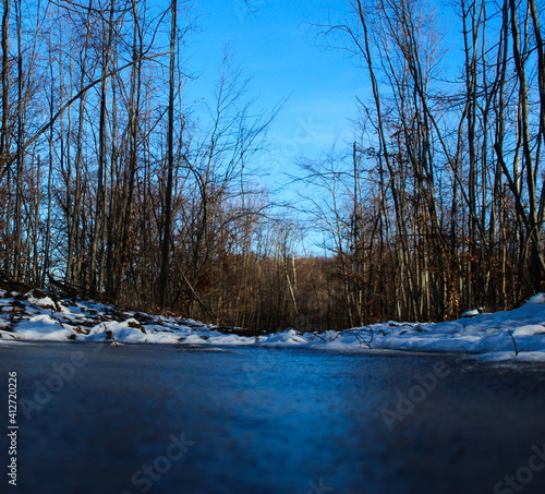 Frozen blue puddle of water in the forest. Behind the frozen pool of water is a forest. Trees in the background. Winter. Cold. photo