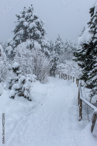 Snow trail on the mountain Trebević. Snowy pathway with trees around on which there is snow.