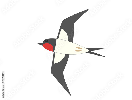 つばめ3　ツバメ　燕