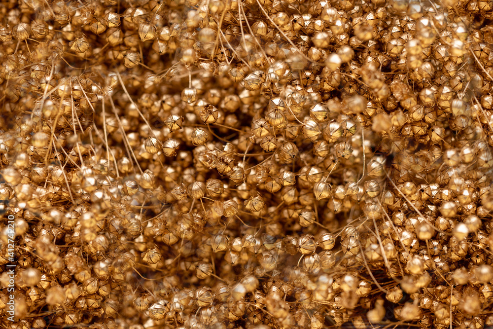 Abstract bokeh background from gold dry flowers grass bush branches.