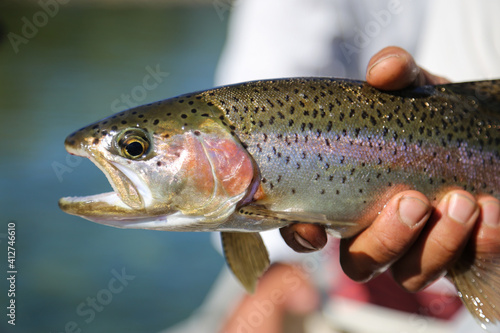 pesca con mosca (patagonia)