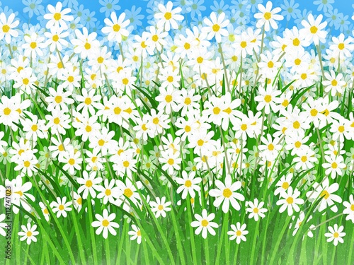 Field of daisies, white flowers are used as background illustrations.