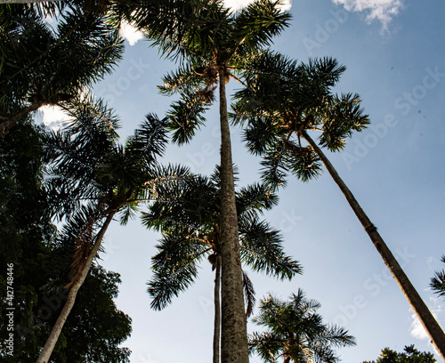 Villa de las Palmas photo