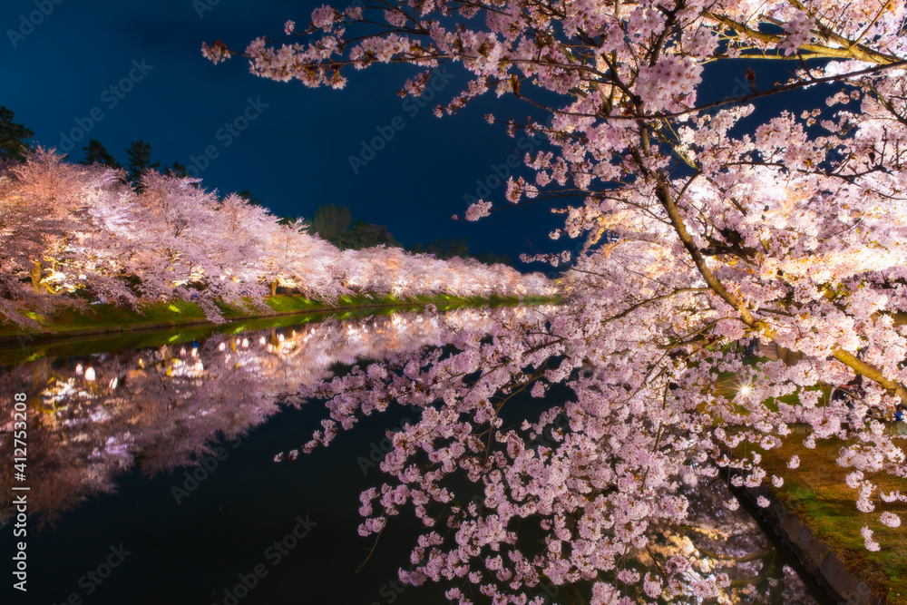 弘前の夜桜は満開に咲いている