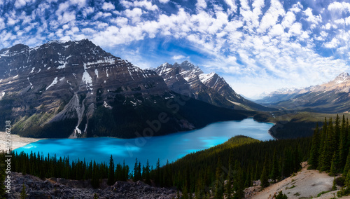 Peyto Lake viewed from the top of a mountain during a vibrant sunny day. Blue Cloudy Sky Art Render. Taken in Icefields Parkway, Banff National Park, Alberta, Canada.