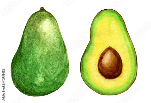 Ripe, dietary, green avocado whole and half with bone. Juicy watercolor illustration. Fruit clipart on a white background.