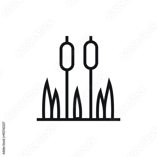 Reeds plant icon design. vector illustration