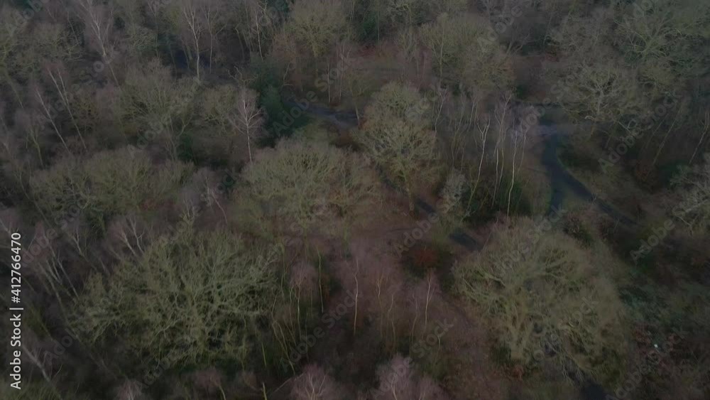 Drone Shot of Winter Woodland Forest
Drone Shot of Winter Woodland Forest