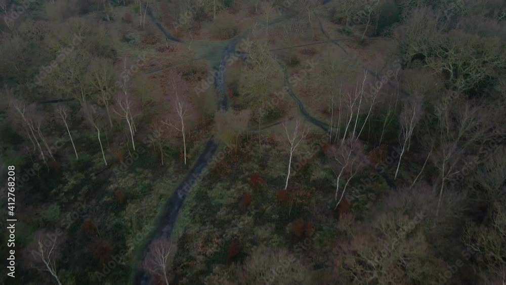 Aerial Shot of Winter Woodland Forest - then tilts up to reveal an edge of town
Aerial Shot of Winter Woodland Forest - then tilts up to reveal an edge of town