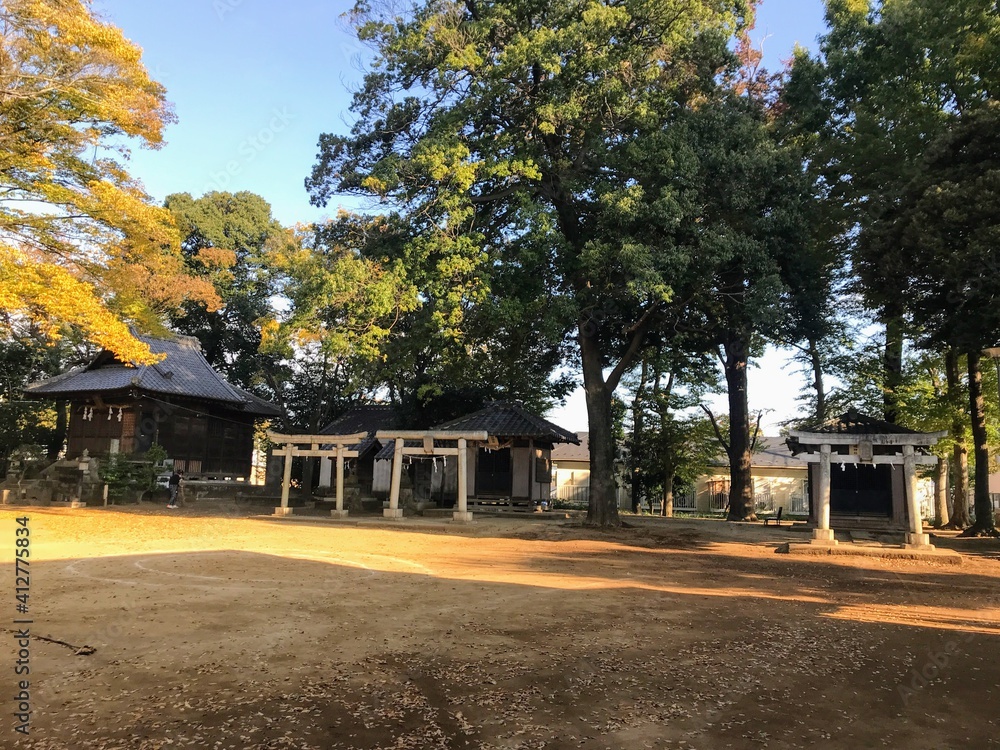 Fototapeta premium 神社のお社