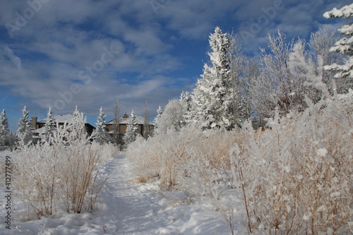 Calgary neighbourhood