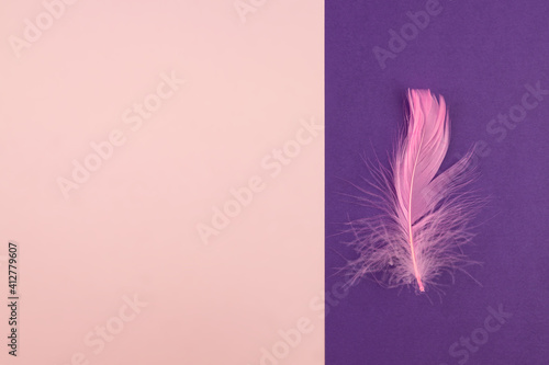 Abstract geometric paper background of pastel pink and purple colors with violet feather. Copy space for design © IKvyatkovskaya