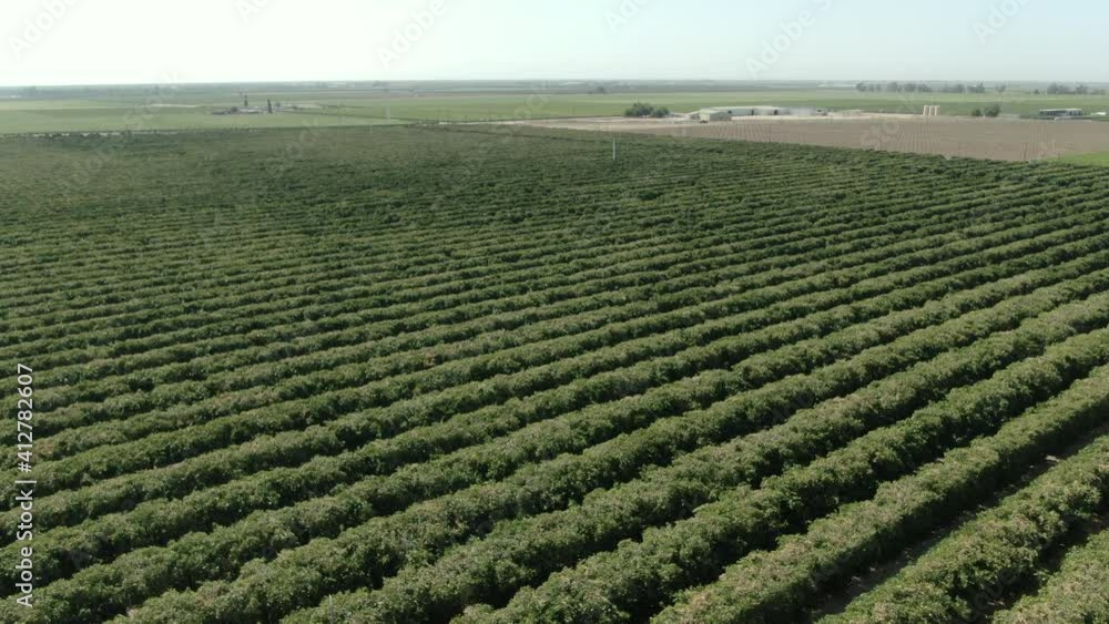 Vineyards Farm San Joaquin Valley California Aerial Shot Forward Tilt Up Vineyards Farm San Joaquin Valley California Aerial Shot Forward Tilt Up