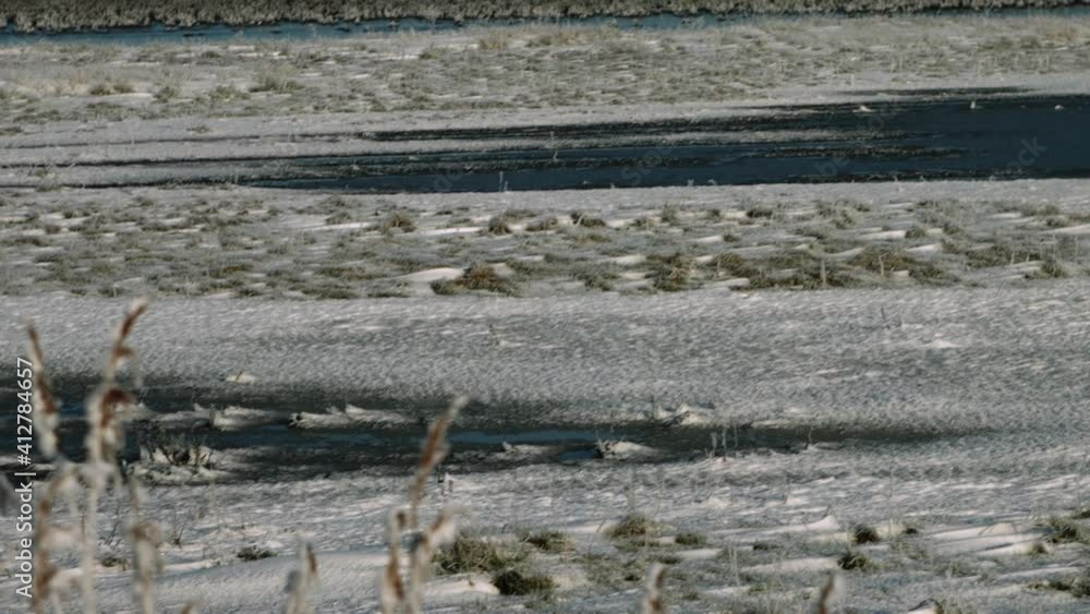 Cinematic panning shot with frozen reed and North sea coastline.
Cinematic panning shot with frozen reed and North sea coastline.