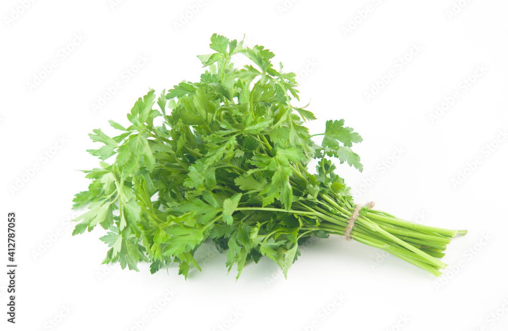 Fresh bunch green parsley bunch on white background. Top view, flat lay. Floral design element. Healthy eating and dieting concept Fresh bunch green parsley bunch on white background. Top view, flat lay. Floral design element. Healthy eating and dieting concept