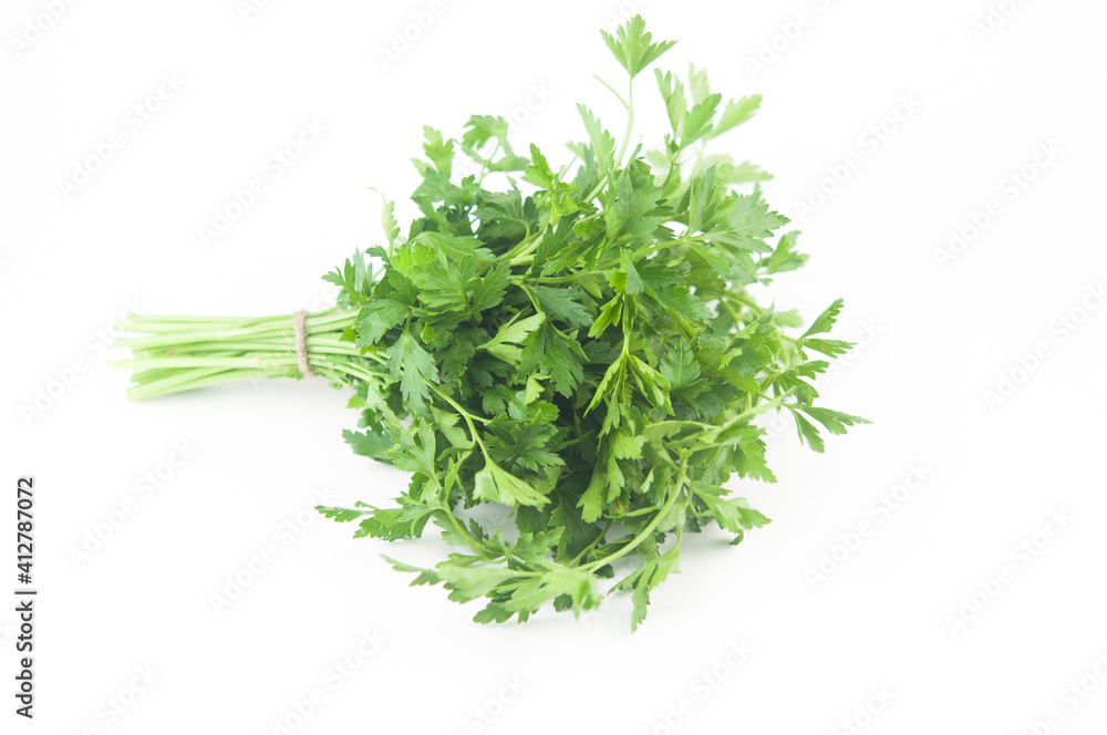 Fresh bunch green parsley bunch on white background. Top view, flat lay. Floral design element. Healthy eating and dieting concept Fresh bunch green parsley bunch on white background. Top view, flat lay. Floral design element. Healthy eating and dieting concept