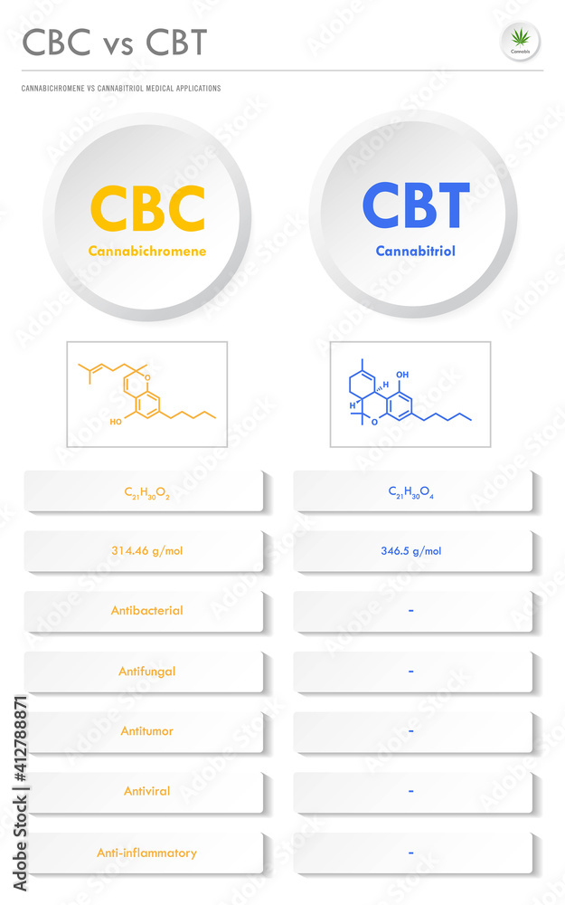 CBC vs CBT, Cannabichromene vs Cannabitriol vertical business infographic  illustration about cannabis as herbal alternative medicine and chemical therapy, healthcare and medical science vector.