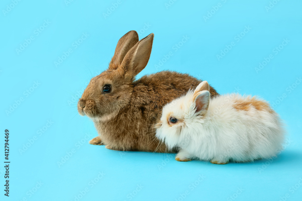 Cute funny rabbits on color background Cute funny rabbits on color background