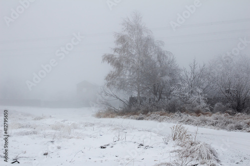 Wallpaper Mural Fog vanishes distant view and snow covers path leading among trees. The feeling of coldness is in the air but the sun is rising. Trees in the forest on winter morning. Torontodigital.ca