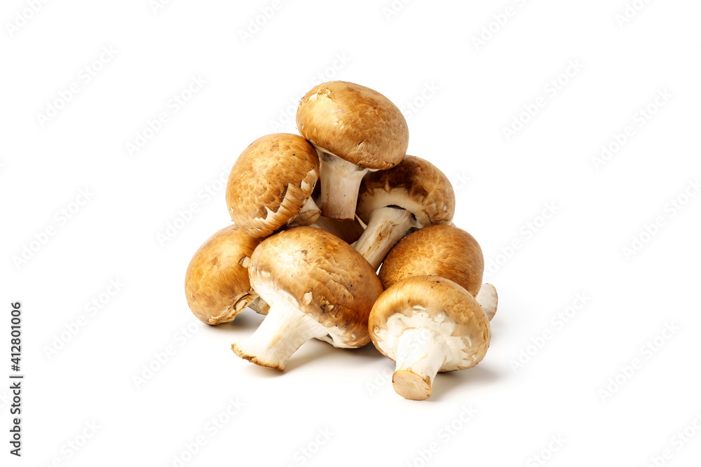 Royal champignon isolated on white background. Royal champignon isolated on white background.