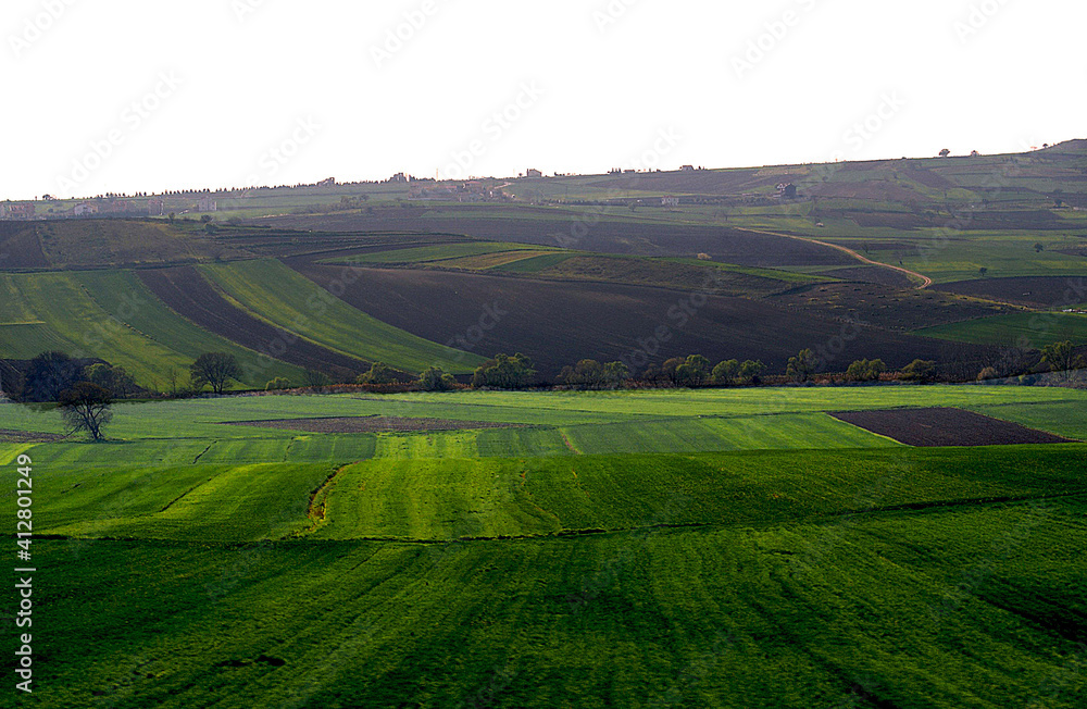 A panoramic shot of a scenery that captures a landscape filled with green grass.