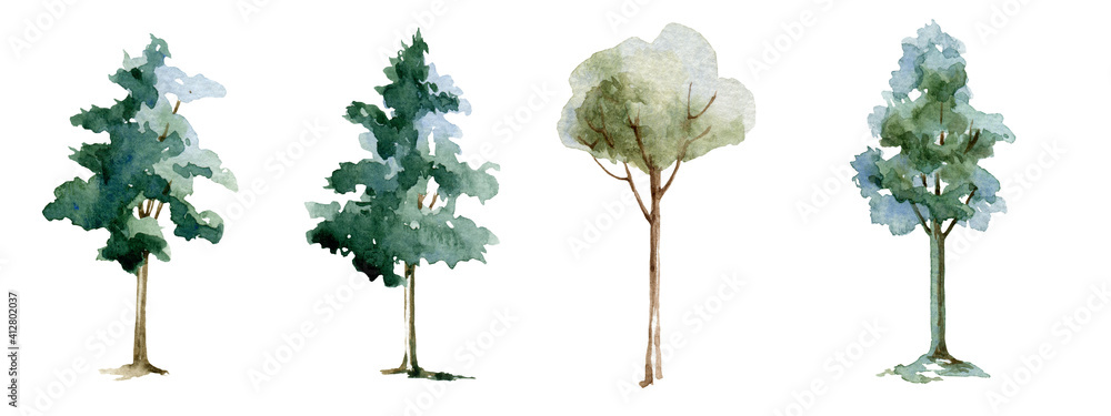 Fototapeta premium Green tree watercolor illustration set. Maple, linden, birch trees. Hand drawn leafy and evergreen tree element collection. Green forest and garden single images on white background.