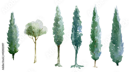 Green tree watercolor illustration set. Natural cypress trees. Hand drawn leafy and evergreen tree element collection. Green forest and garden single images on white background. photo
