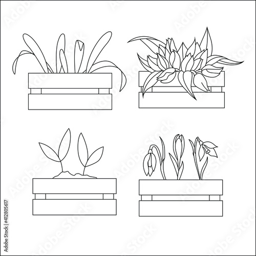 A set of flowers in boxes. Seedlings for the garden and home decoration. Can be used as icons, for infographics, design of thematic cards, banners, websites and other typography