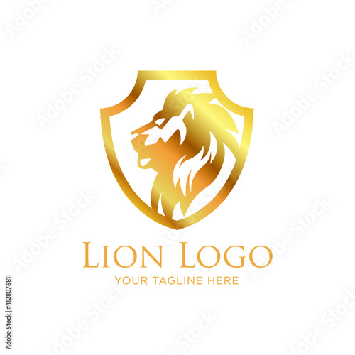 lion logo illustration 