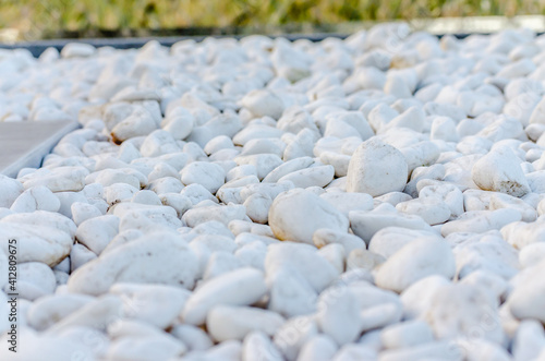 Canvas Print White pebbles stone texture and background