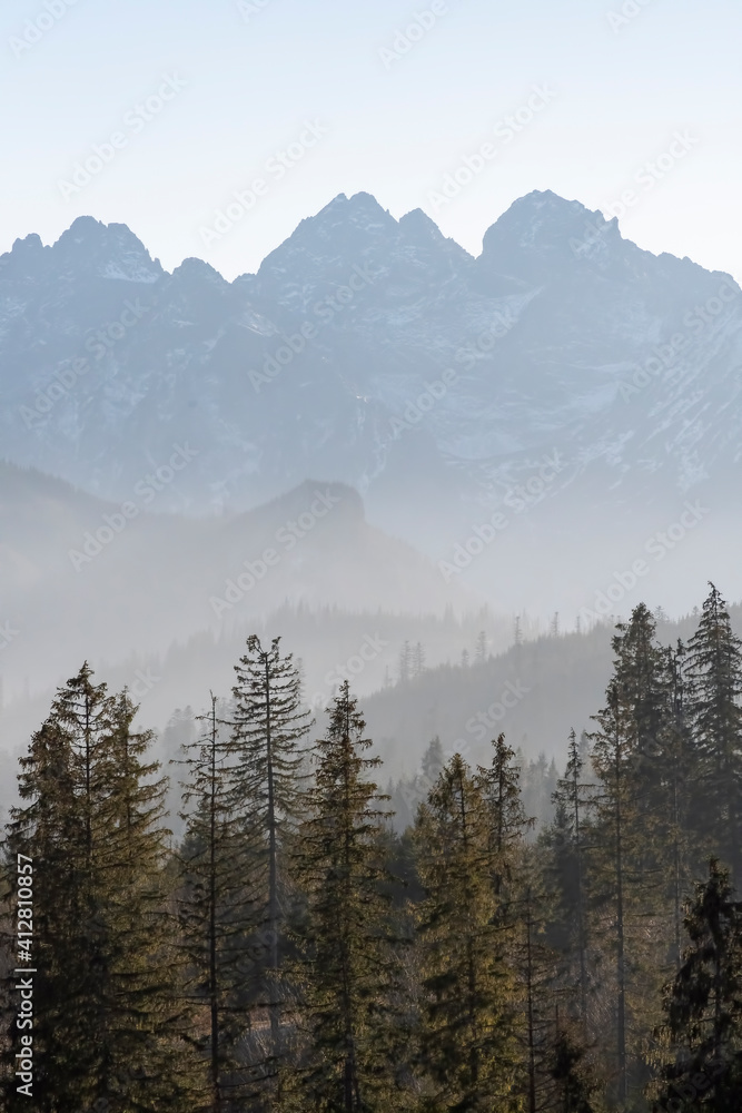 Smog on a sunny day in Tatra Mountains, Poland. Spruce trees growing on the lower hills, High Tatra peaks illuminated by bright sunlight. Selective focus on the forest, blurred  background.