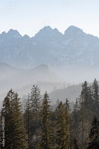 Smog on a sunny day in Tatra Mountains, Poland. Spruce trees growing on the lower hills, High Tatra peaks illuminated by bright sunlight. Selective focus on the forest, blurred background.