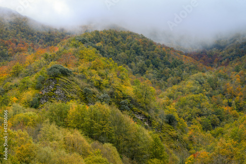 Valleys and hills covered with deciduous forest among the mist