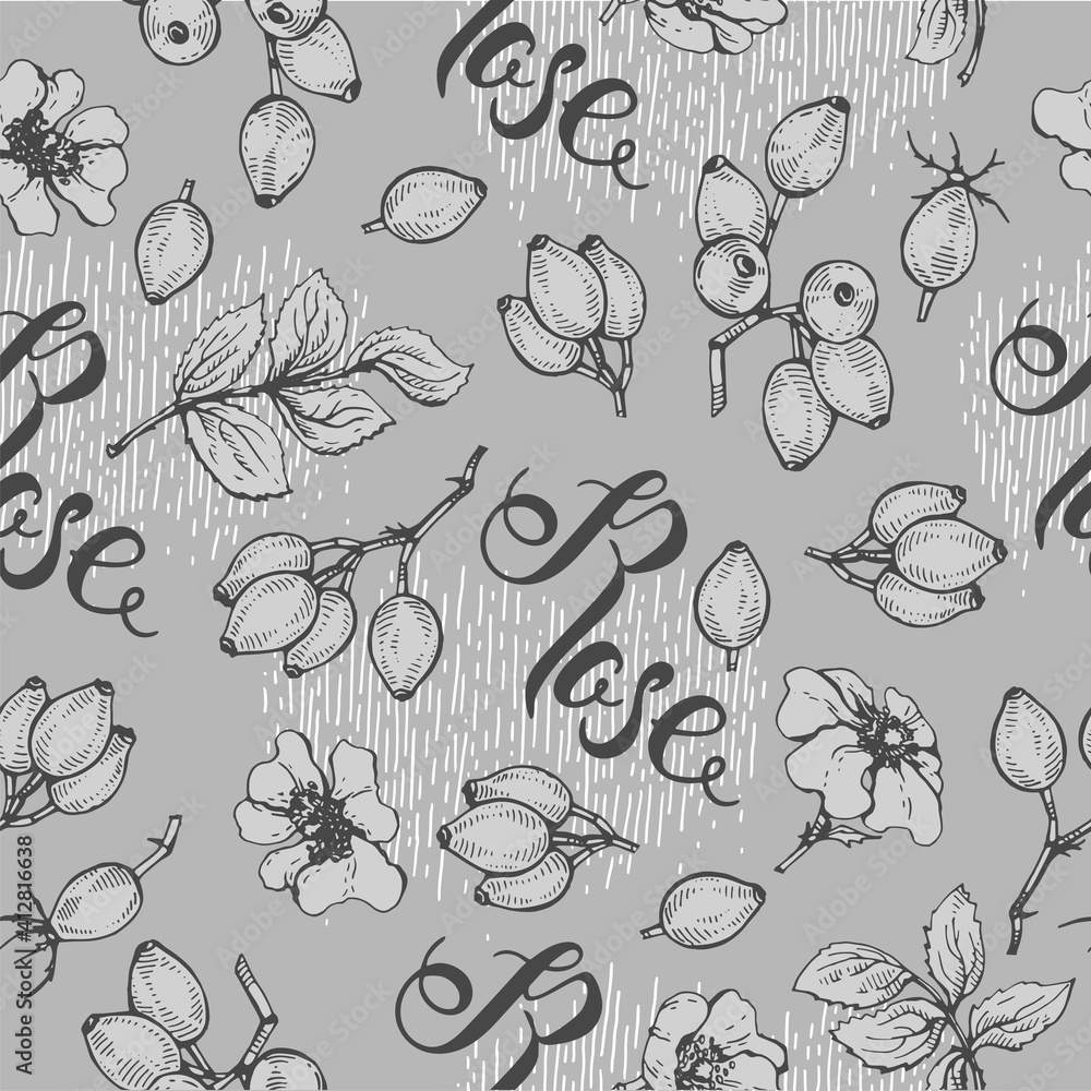 Seamless Pattern with Rosa canina . Detailed hand-drawn sketches, vector Seamless Pattern with Rosa canina . Detailed hand-drawn sketches, vector