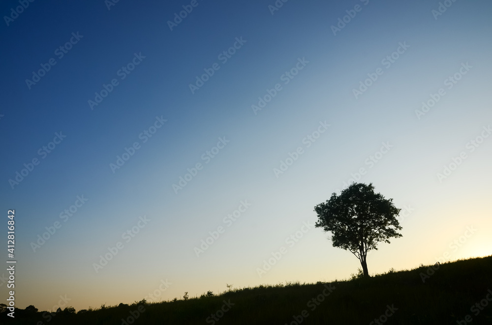 Obraz premium The silhouette single lonely tree on small hill with clear blue sky at beautiful sunset time.