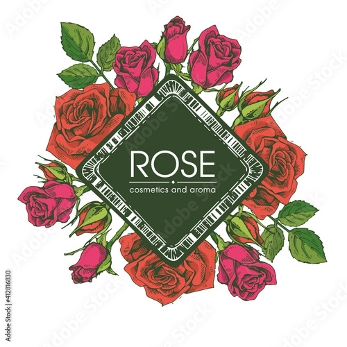 Frame with Roses . Detailed hand-drawn sketches, vector